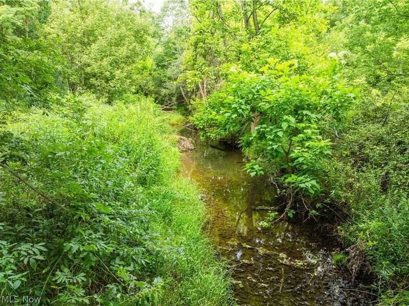 Blake Road, Wadsworth, OH 44281 Photo 7