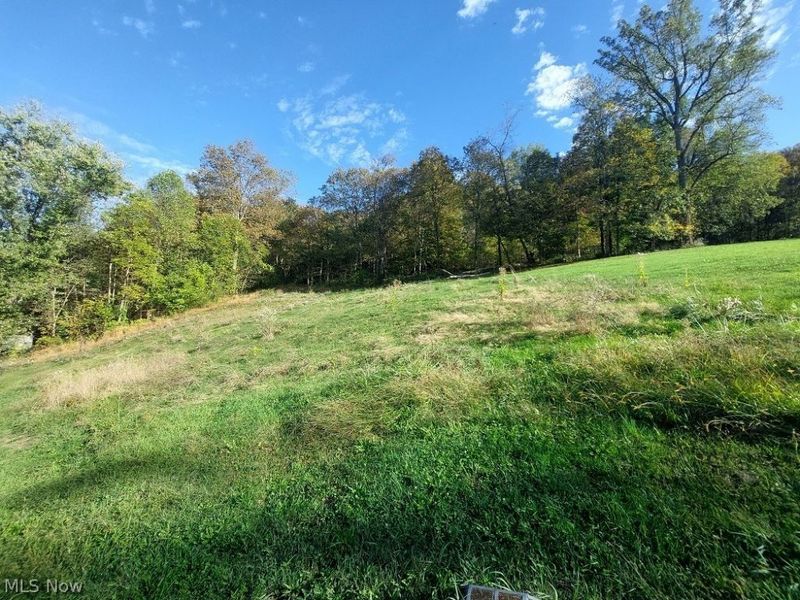 2336 State Route 151, Mingo Junction, OH 43938 Photo 5