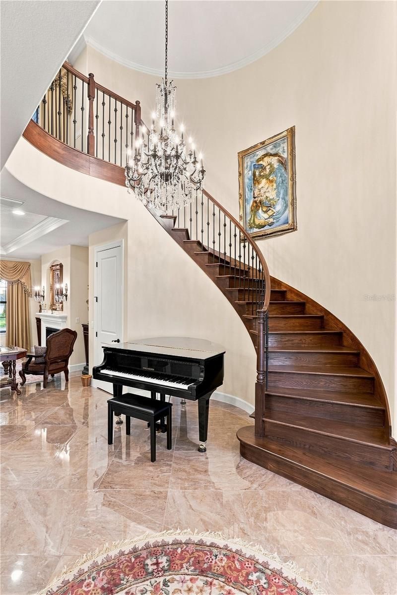 17331 Ladera Estates Boulevard, Lutz, FL 33548 Photo