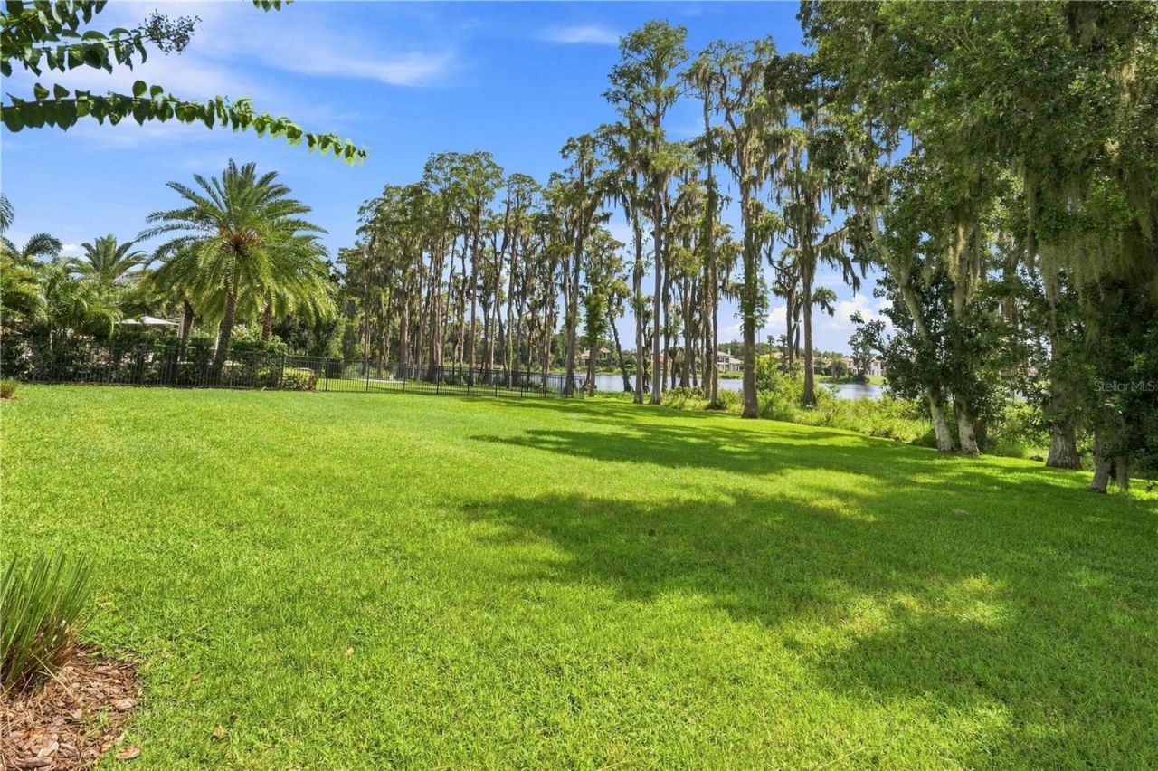 17331 Ladera Estates Boulevard, Lutz, FL 33548 Photo