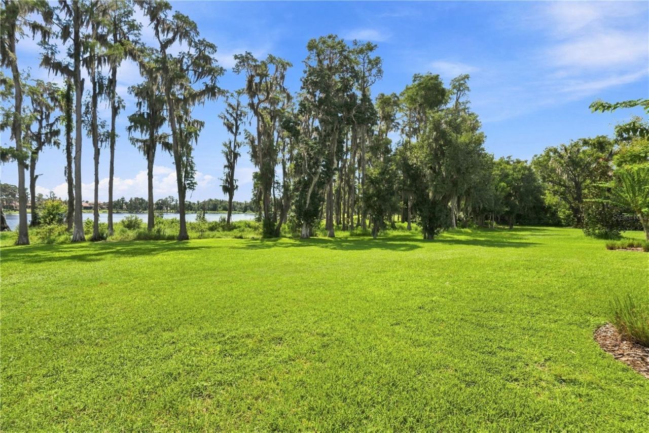 17331 Ladera Estates Boulevard, Lutz, FL 33548 Photo