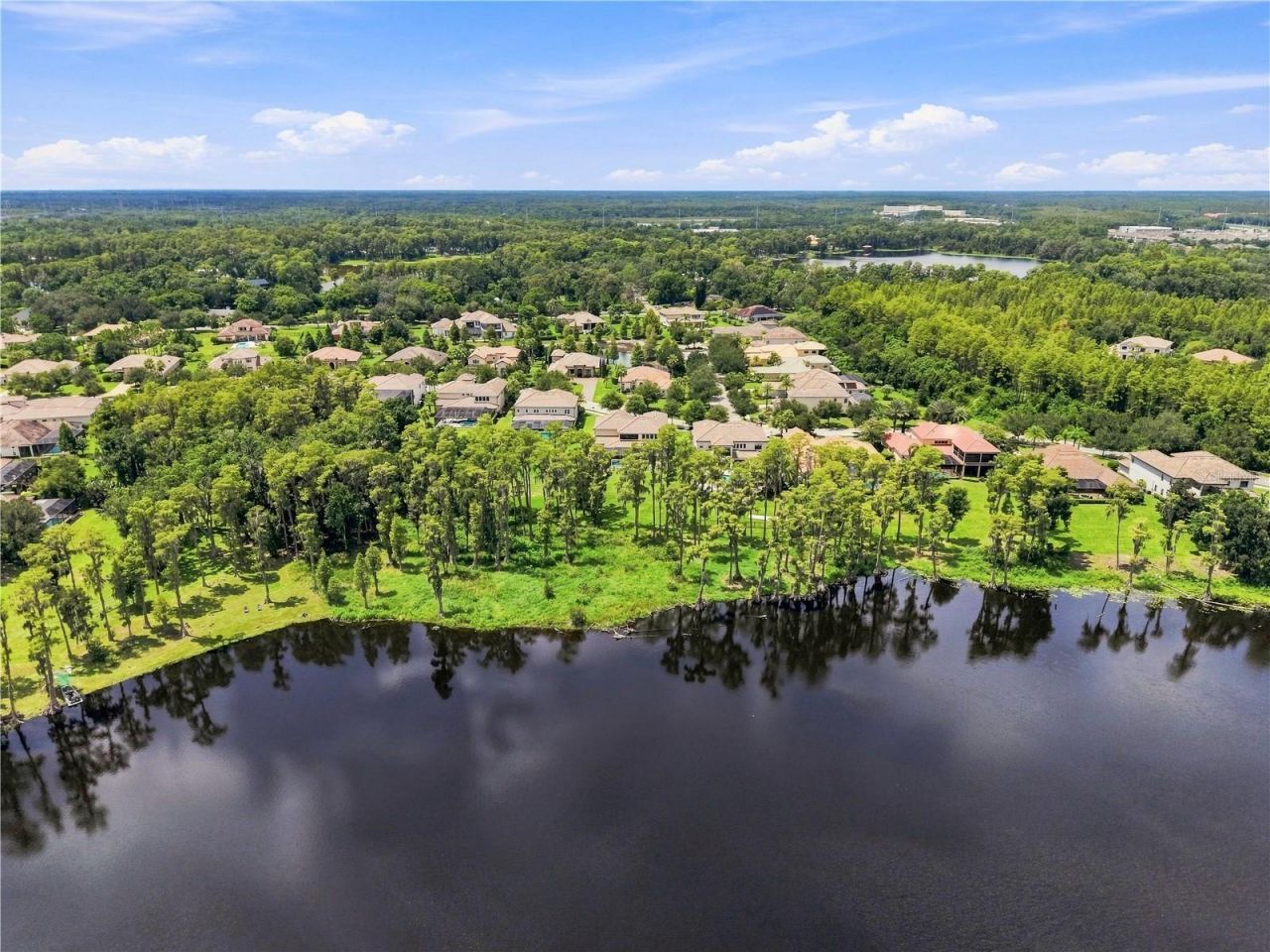 17331 Ladera Estates Boulevard, Lutz, FL 33548 Photo
