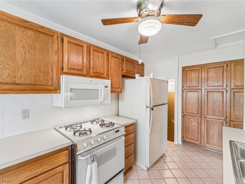 1829 Eldon Drive, Wickliffe, OH 44092 Photo 3
