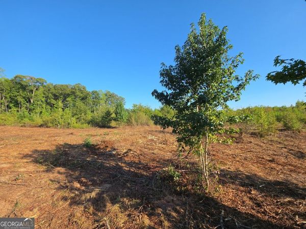0 Butler Road, Franklin, GA 30217