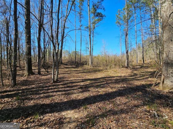 0 Butler Road, Franklin, GA 30217