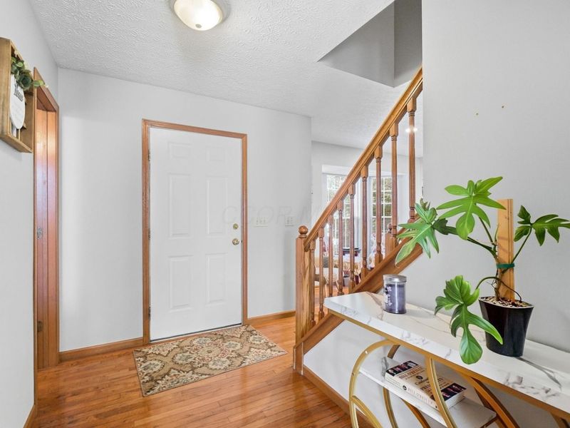 5731 Dalymount Drive, Dublin, OH 43016 Photo 3