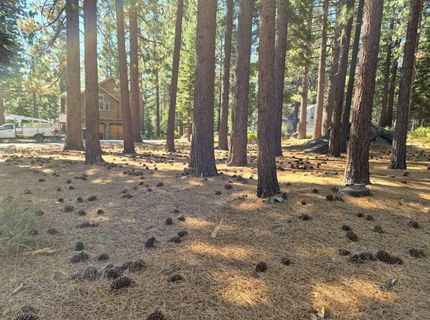 723 Cayuga St, South Lake Tahoe, CA 96150 Photo