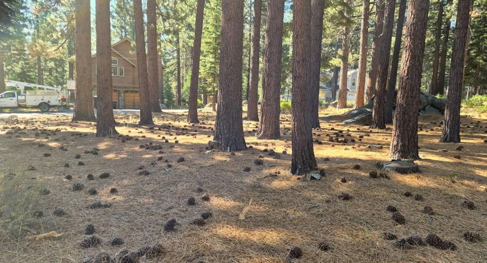 723 Cayuga St, South Lake Tahoe, CA 96150 Photo