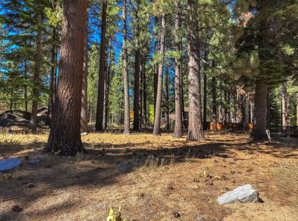723 Cayuga St, South Lake Tahoe, CA 96150 Photo