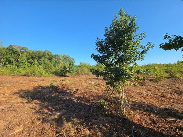 0 Tract 5 Butler Road, Franklin, GA 30217