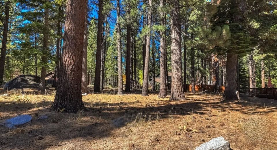 723 Cayuga Street, South Lake Tahoe, CA 96150 Photo