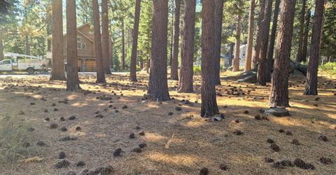 723 Cayuga Street, South Lake Tahoe, CA 96150 Photo