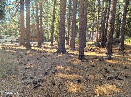 723 Cayuga Street, South Lake Tahoe, CA 96150 Photo