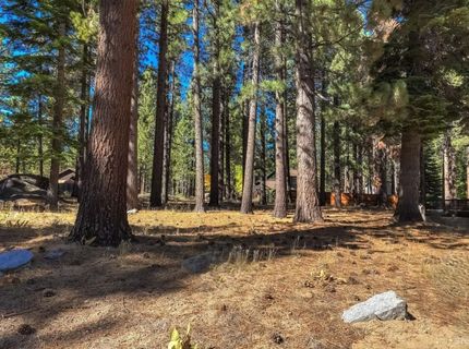 723 Cayuga Street, South Lake Tahoe, CA 96150 Photo