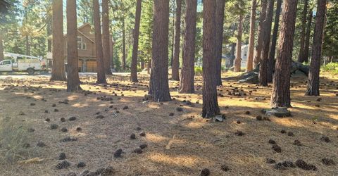 723 Cayuga Street, South Lake Tahoe, CA 96150 Photo