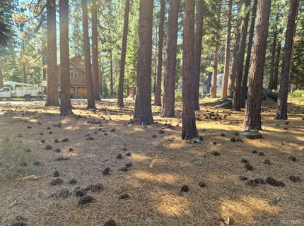 723 Cayuga Street, South Lake Tahoe, CA 96150 Photo
