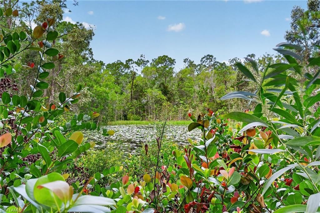 12041 Lucca St , Unit 101, Fort Myers, FL 33966 Photo
