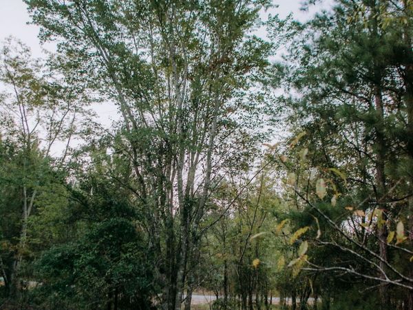 Lot 3-Tbd Nighthawk Loop , Aberdeen, NC 28315