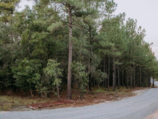 Lot 1-Tbd Nighthawk Loop , Aberdeen, NC 28315