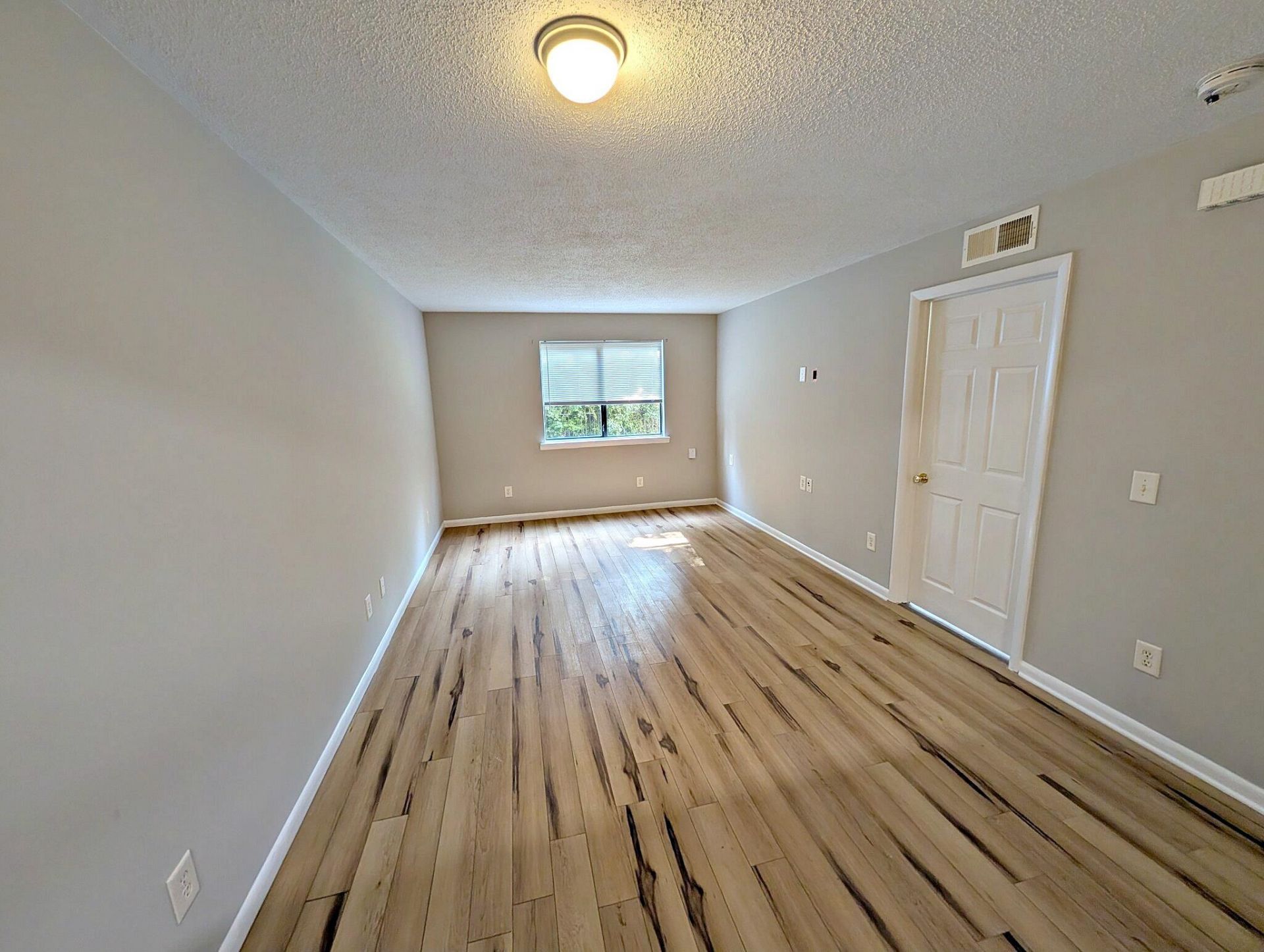 3555 Highway 544 Photo 10