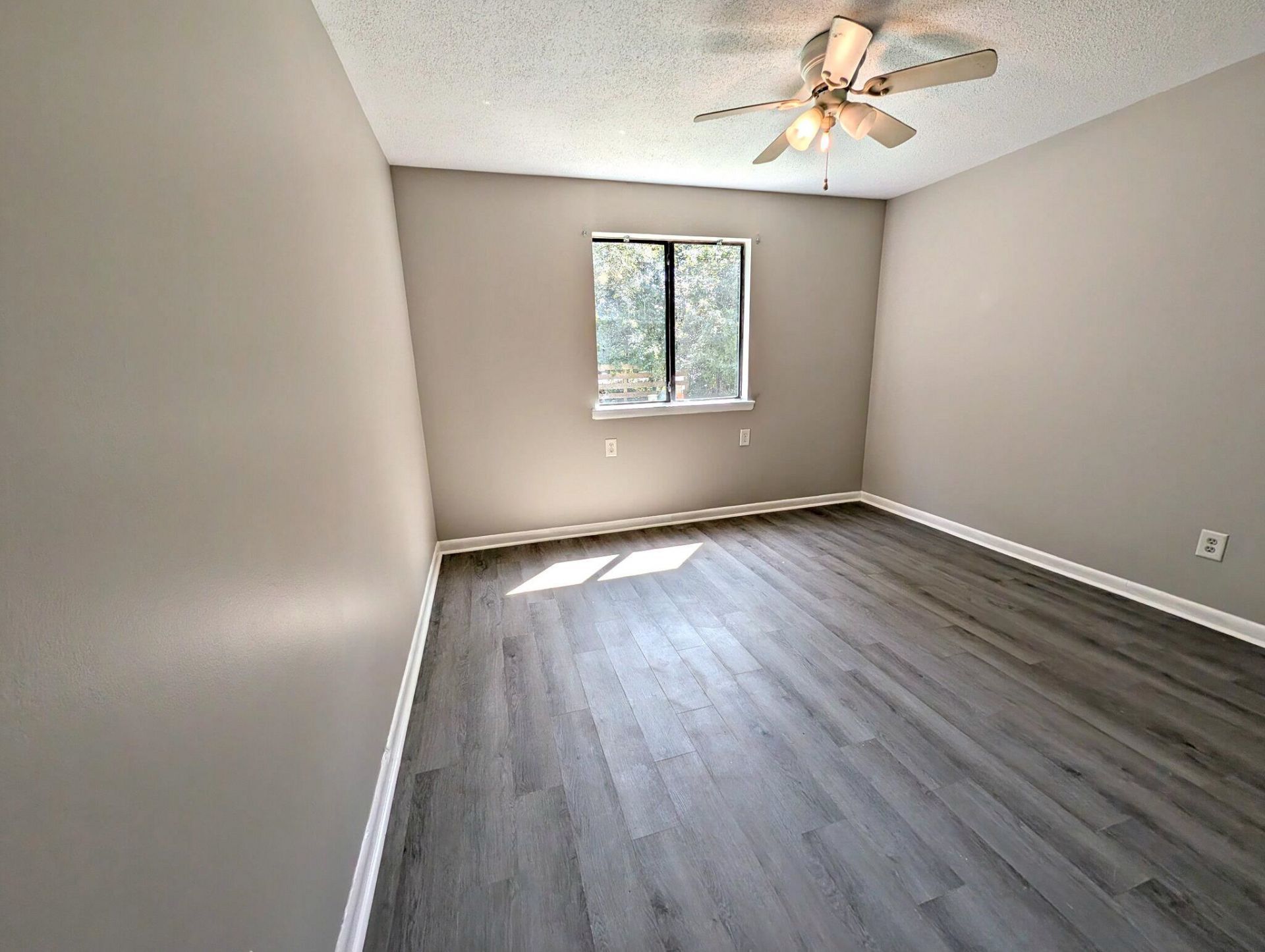 3555 Highway 544 Photo 12