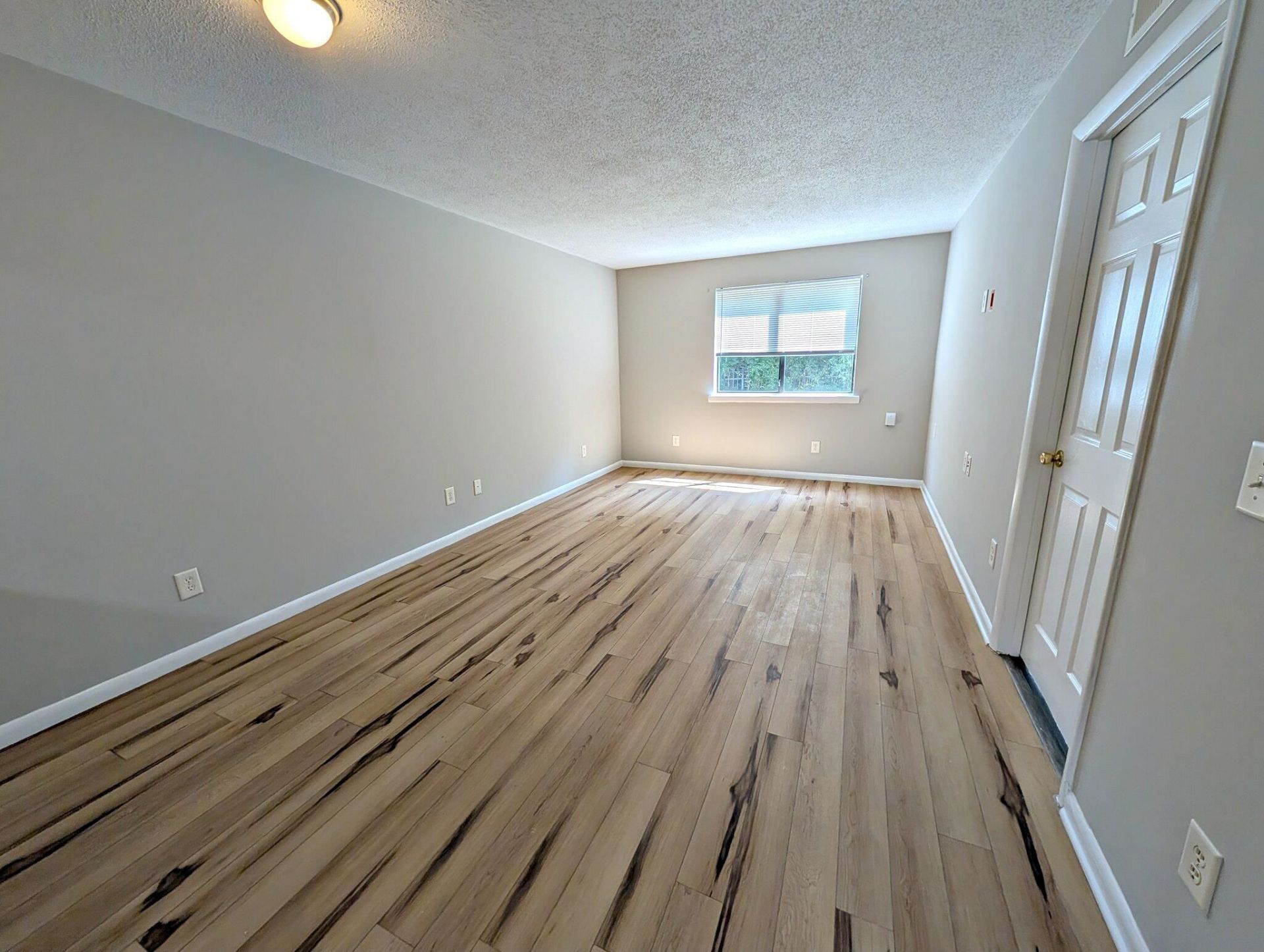 3555 Highway 544 Photo 5