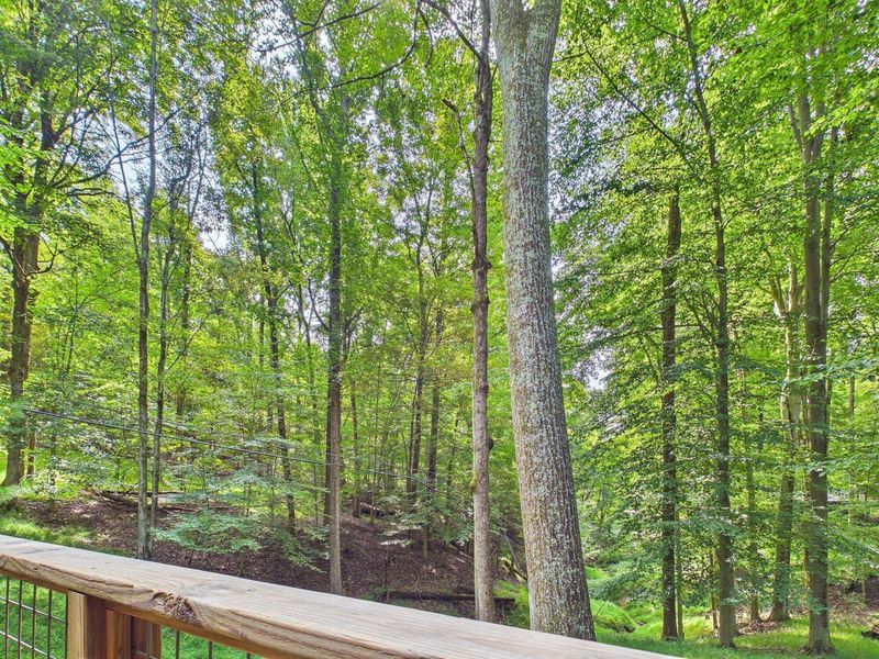 501 Kusa Lane, Sugar Grove, OH 43155 Photo 67