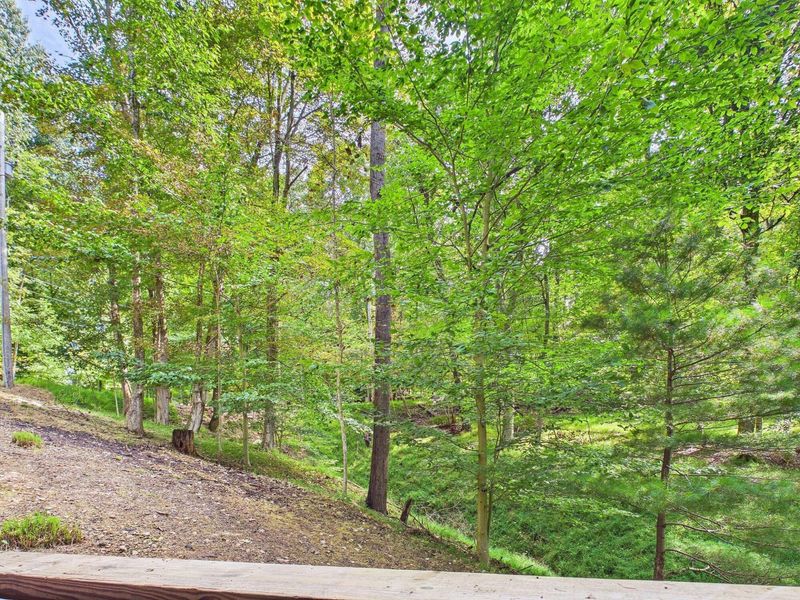 501 Kusa Lane, Sugar Grove, OH 43155 Photo 68