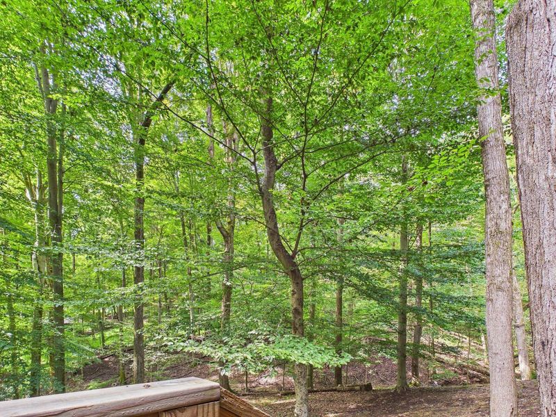 501 Kusa Lane, Sugar Grove, OH 43155 Photo 69