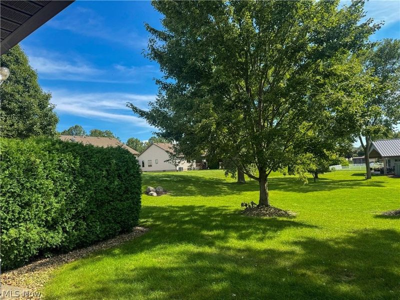 1487 Tripodi Circle, Niles, OH 44446 Photo 19
