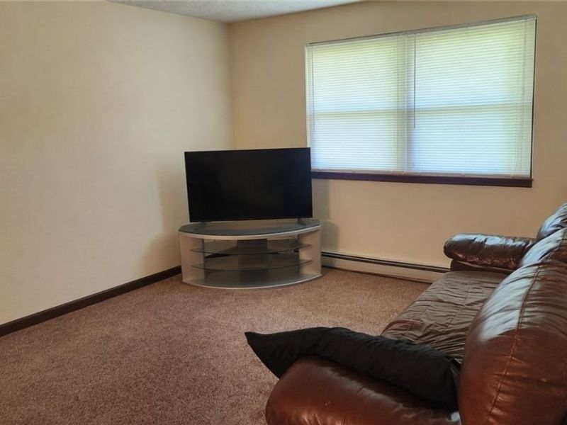 10770 Infirmary Road, Mantua, OH 44255 Photo 12