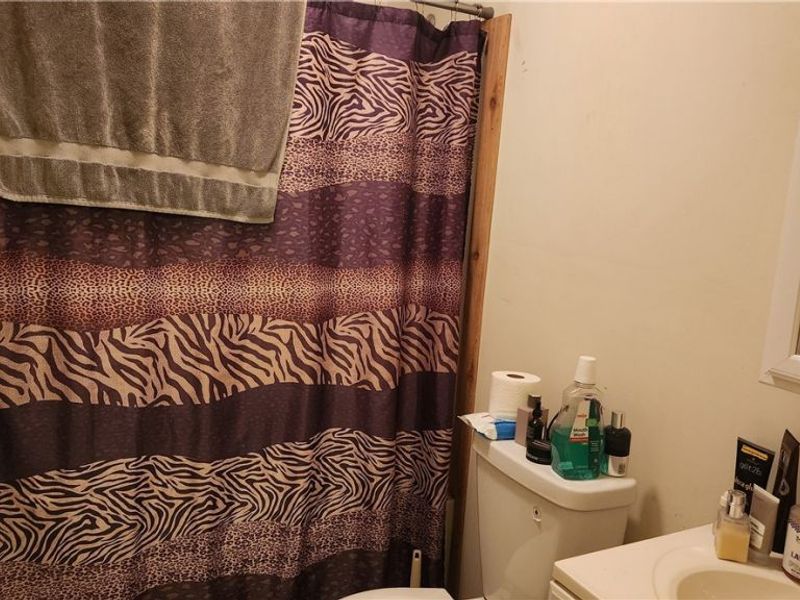 10770 Infirmary Road, Mantua, OH 44255 Photo 17
