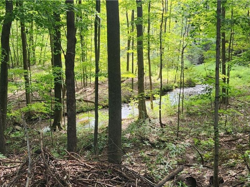 10770 Infirmary Road, Mantua, OH 44255 Photo 3