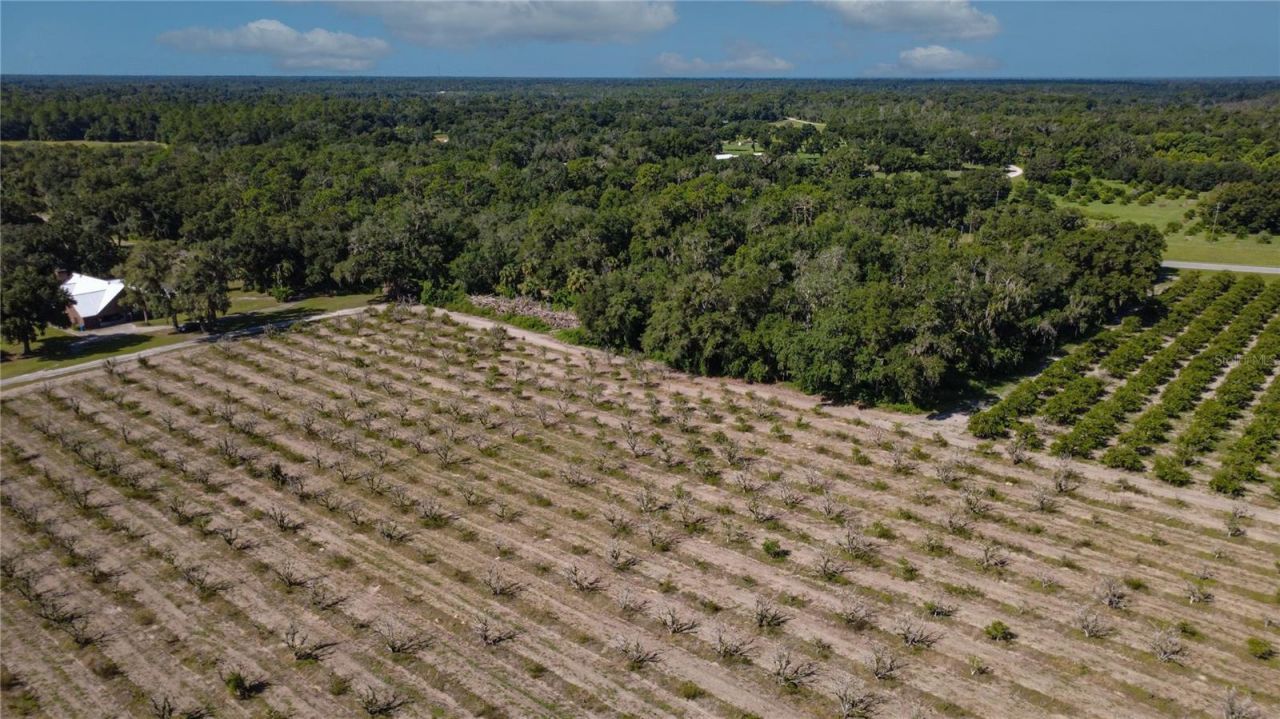 State Road 11 , De Leon Springs, FL 32130 Photo