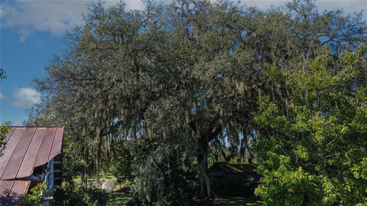 State Road 11 , De Leon Springs, FL 32130 Photo
