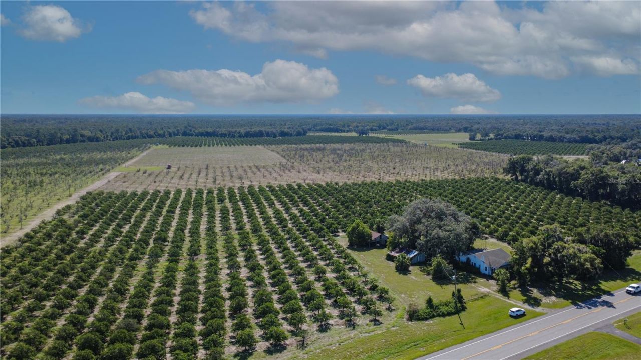 State Road 11 , De Leon Springs, FL 32130 Photo