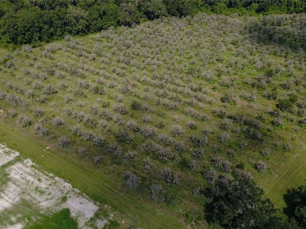 HOLLY HAMMOCK ROAD , DE LEON SPRINGS, FL 32130