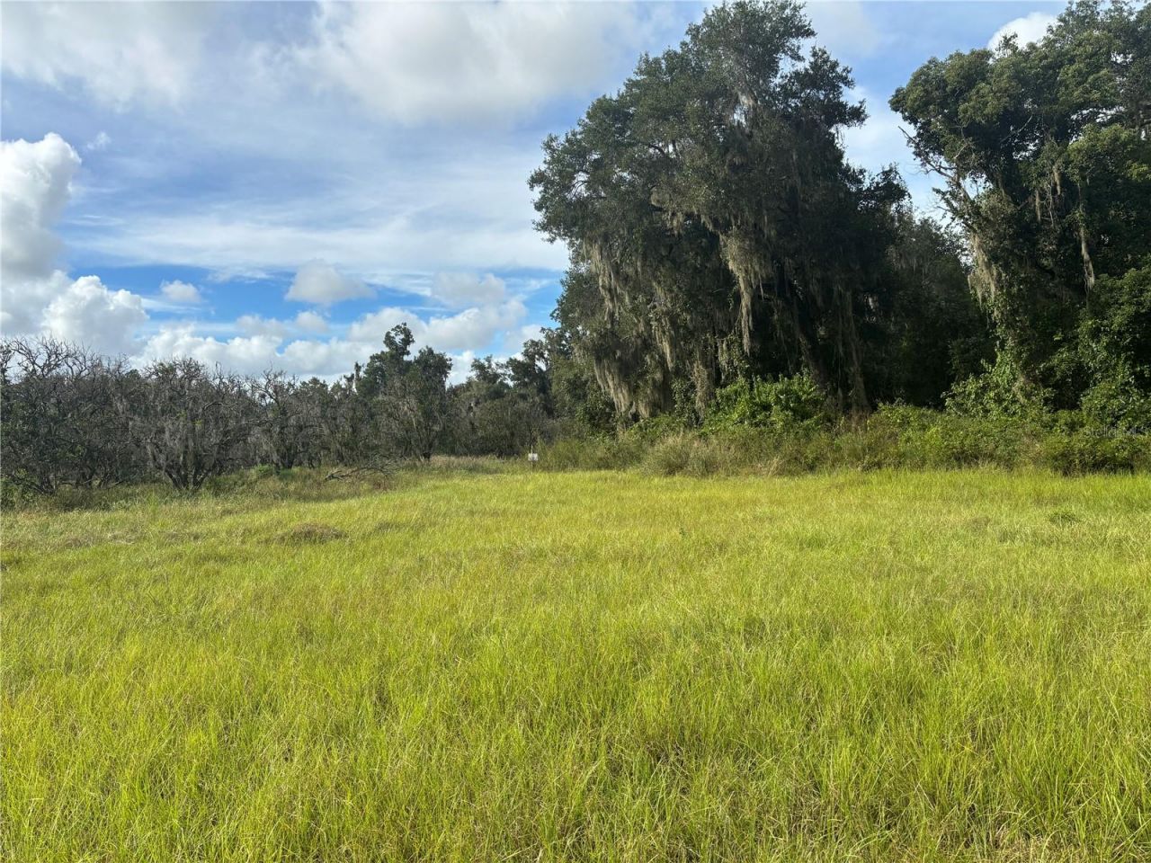 Holly Hammock Road , De Leon Springs, FL 32130 Photo