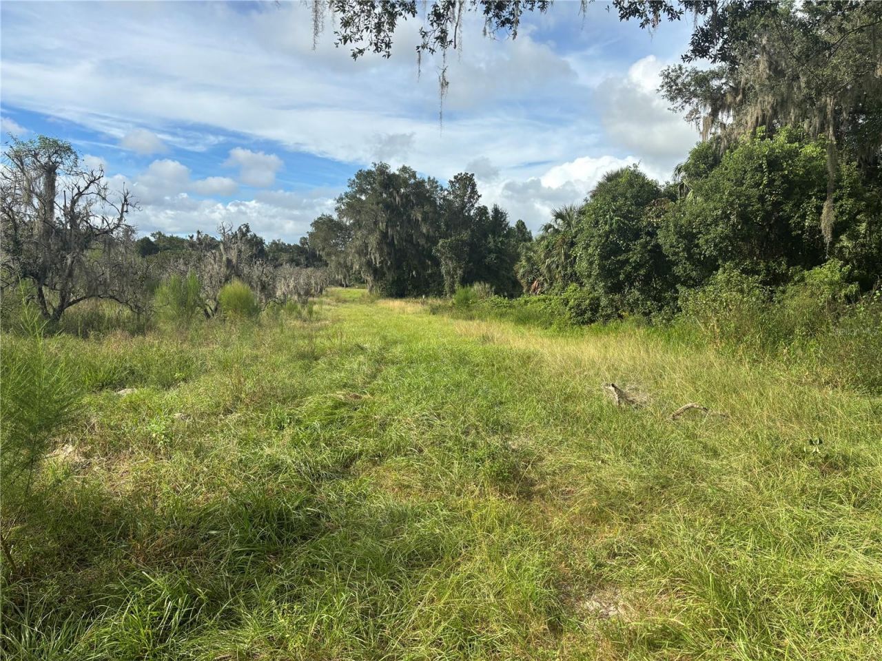 Holly Hammock Road , De Leon Springs, FL 32130 Photo