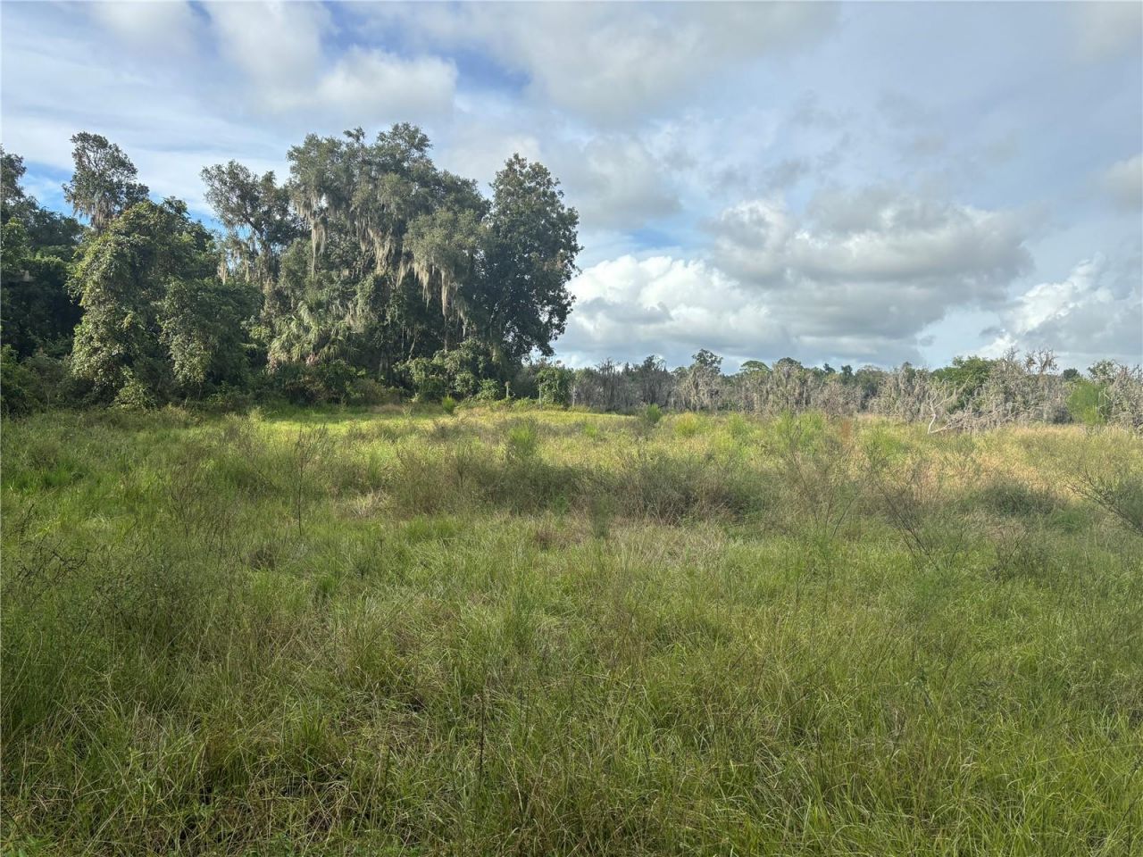 Holly Hammock Road , De Leon Springs, FL 32130 Photo