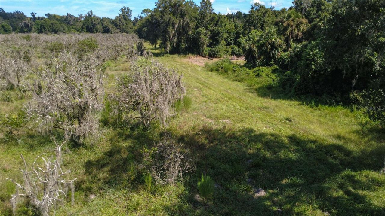 Holly Hammock Road , De Leon Springs, FL 32130 Photo