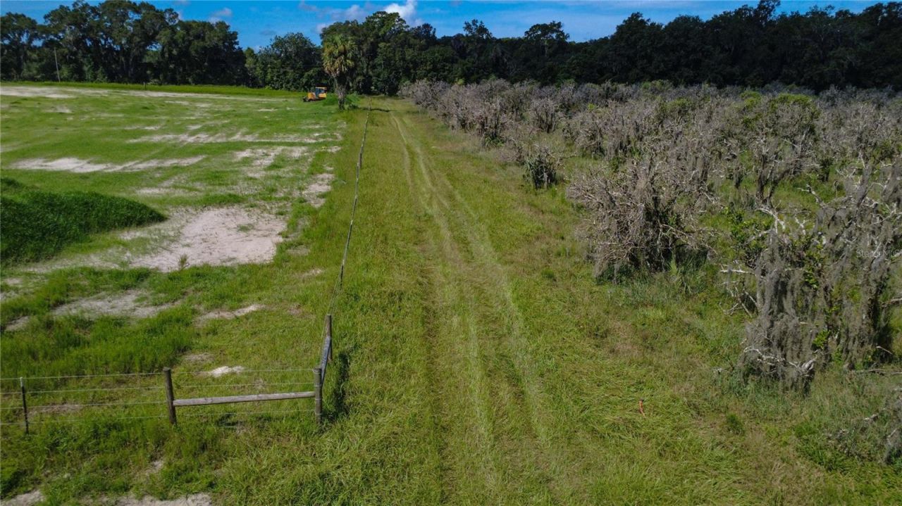 Holly Hammock Road , De Leon Springs, FL 32130 Photo