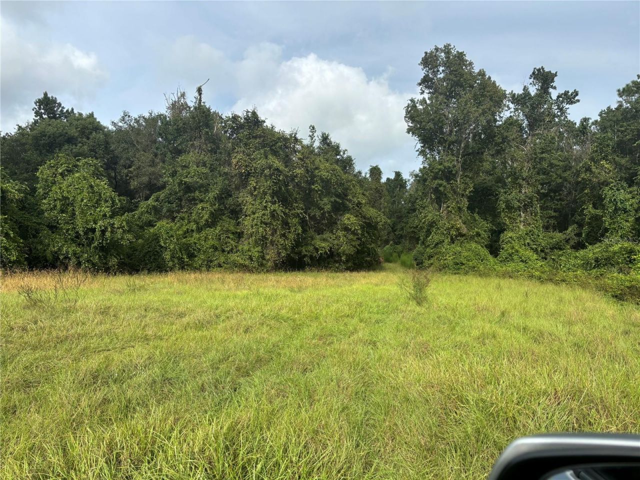 Holly Hammock Road , De Leon Springs, FL 32130 Photo