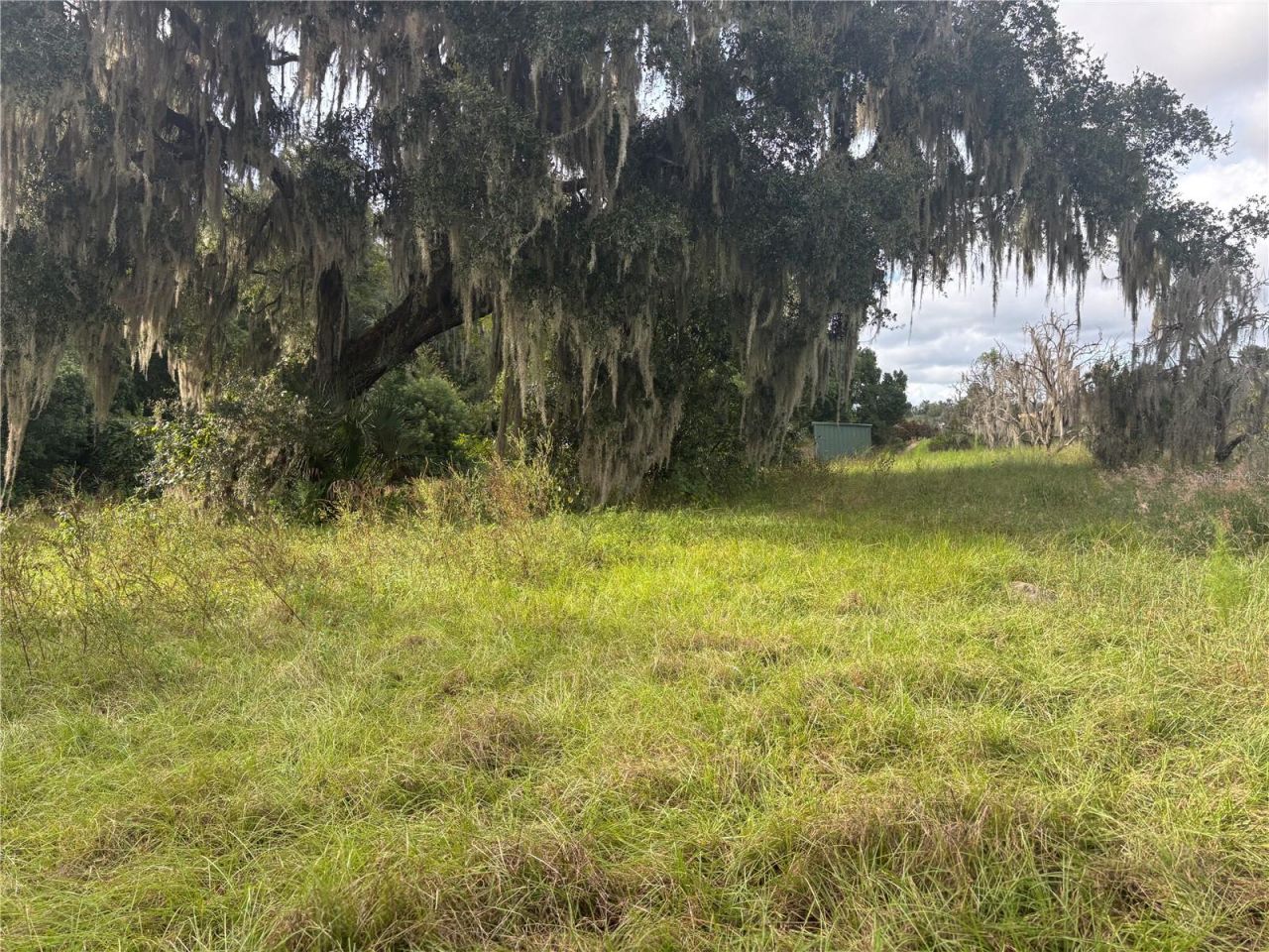 Holly Hammock Road , De Leon Springs, FL 32130 Photo