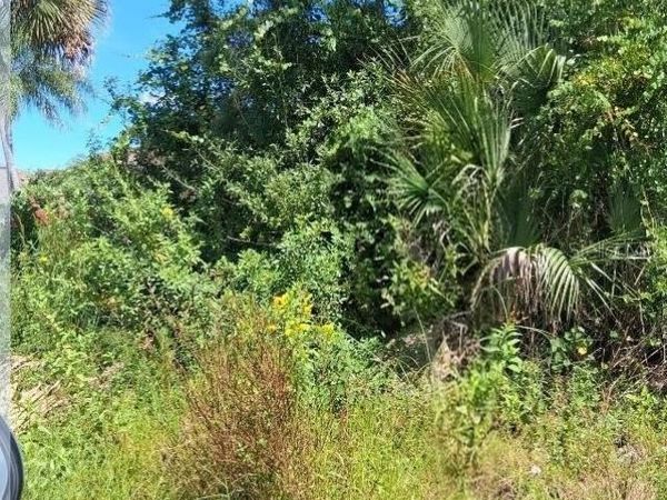 GERHARD AVENUE , PALM BAY, FL 32908