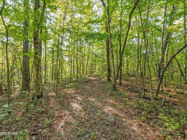 6637 Avens Lane, Tallassee, TN 37878