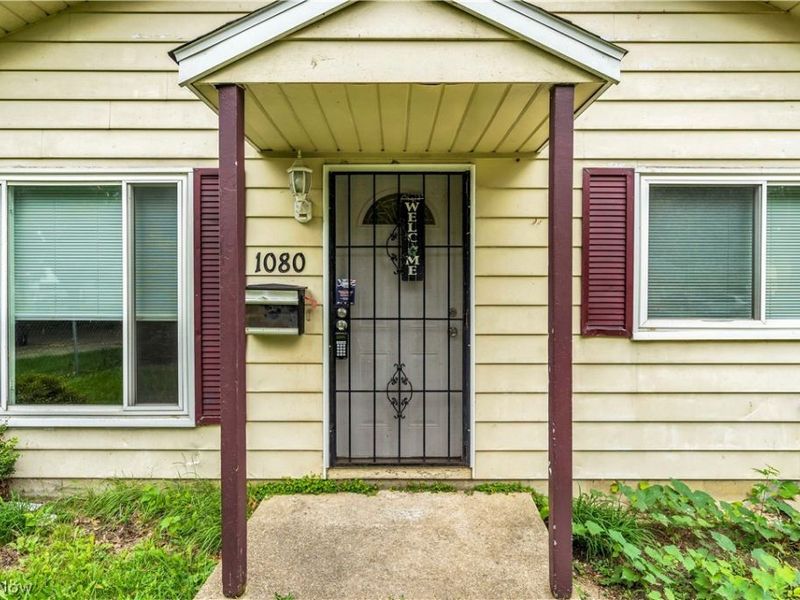 1080 E 167th Street, Cleveland, OH 44110 Photo 2