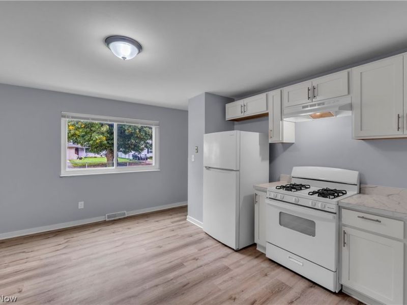 1080 E 167th Street, Cleveland, OH 44110 Photo 5