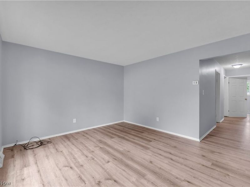 1080 E 167th Street, Cleveland, OH 44110 Photo 6