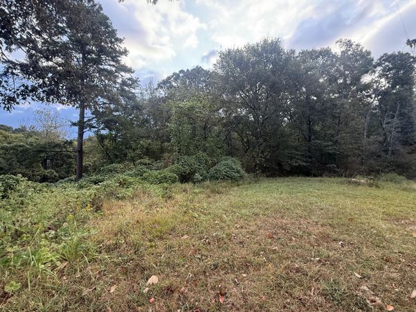 0 11th Street, Bridgeport, AL 35740